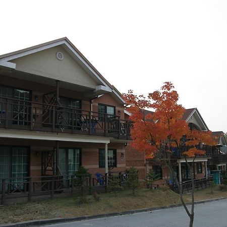 Hwangto Green Village Pension Йонгин Экстерьер фото