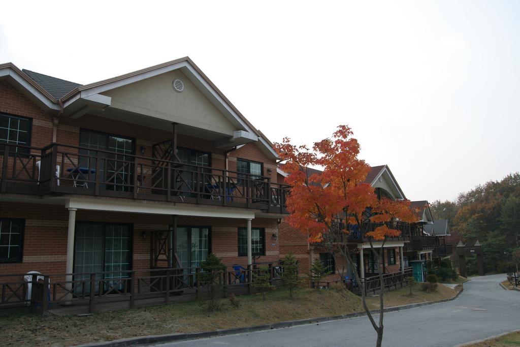 Hwangto Green Village Pension Йонгин Экстерьер фото