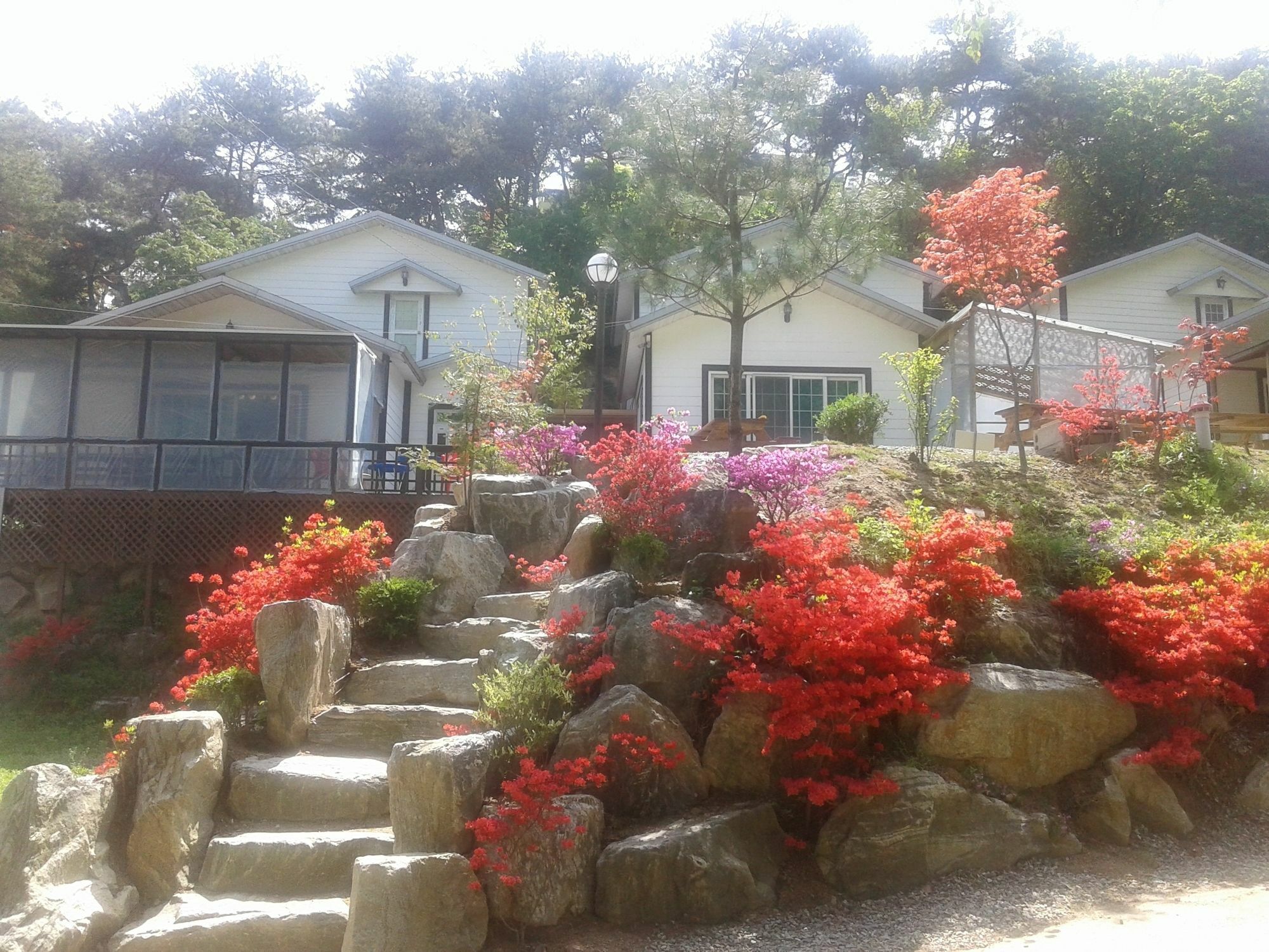 Hwangto Green Village Pension Йонгин Экстерьер фото